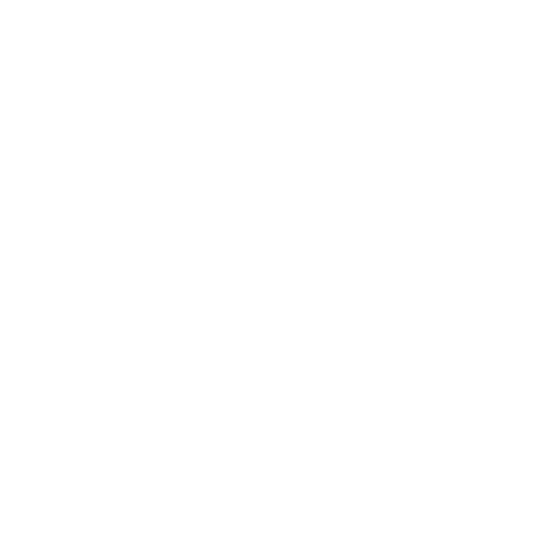 Electus Scripts